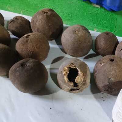 Imagem de roda de capoeira