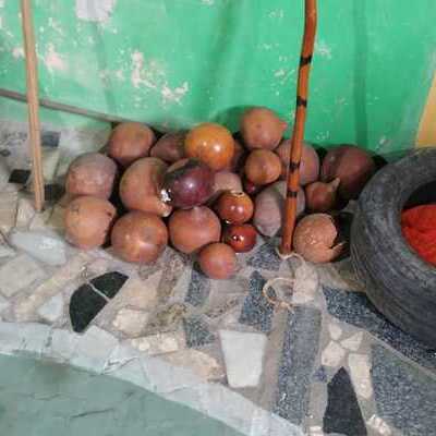 Imagem de roda de capoeira